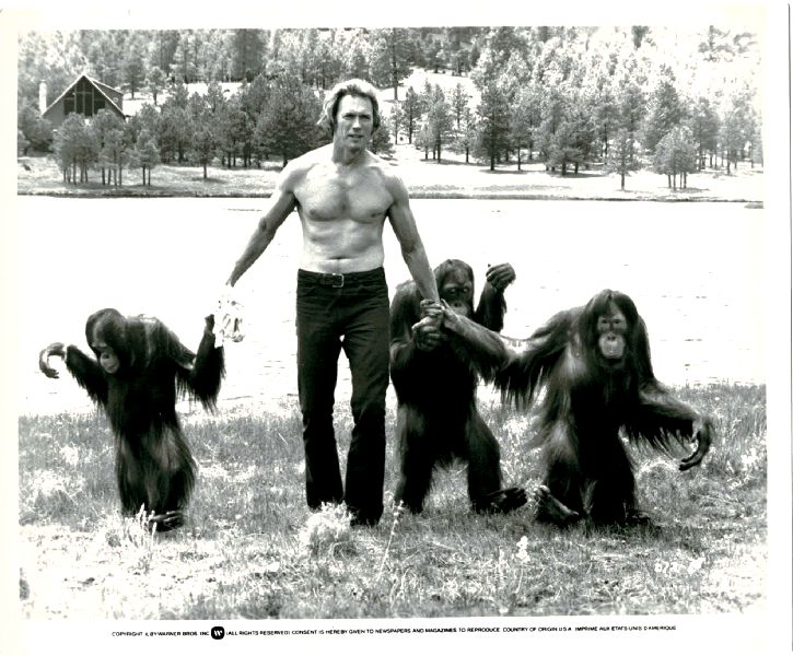 Publicity Photo/Still: CLINT EASTWOOD - EVERY WHICH WAY BUT LOOSE 1978 Orangutan Publicity Photo/Still: CLINT EASTWOOD - EVERY WHICH WAY BUT LOOSE 1978 Orangutan