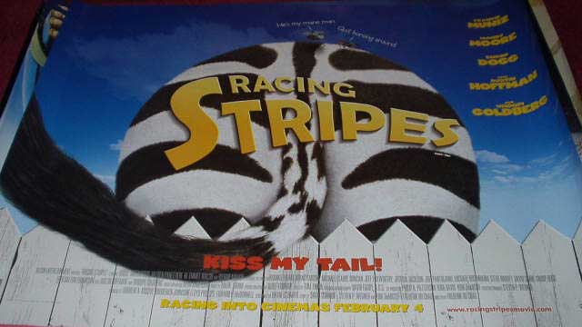 Cinema Poster: RACING STRIPES 2005 (Advance Quad) Frankie Muniz