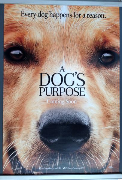 Cinema Poster: A DOG'S PURPOSE (Advance One Sheet) Josh Gad