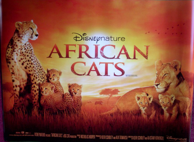 AFRICAN CATS: UK Quad Film Poster