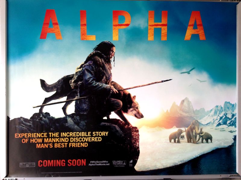 Cinema Poster: ALPHA 2018 (Main Quad) Kodi Smit-McPhee Morgan Freeman Cinema Poster: ALPHA 2018 (Main Quad) Kodi Smit-McPhee Morgan Freeman