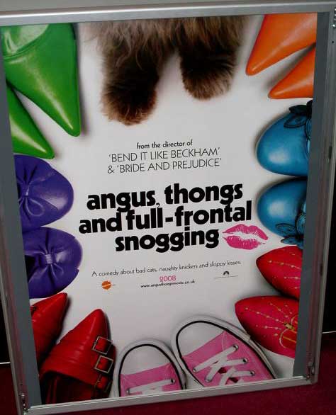 ANGUS, THONGS AND PERFECT SNOGGING: 'Full Frontal' Version One Sheet Film Poster