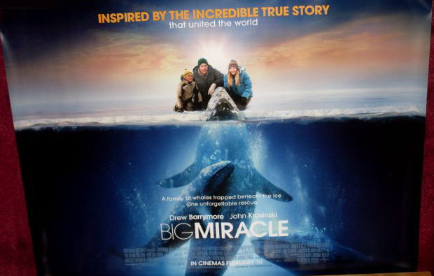 BIG MIRACLE: UK Quad Film Poster