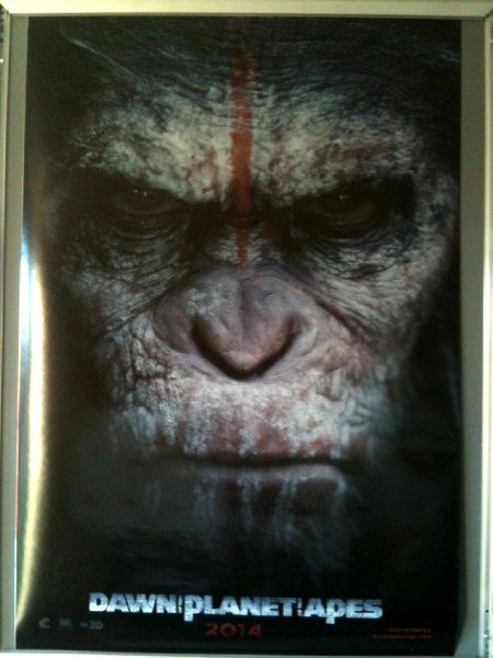 Cinema Poster: DAWN OF THE PLANET OF THE APES 2014 (Caeser One Sheet) Andy Serkis