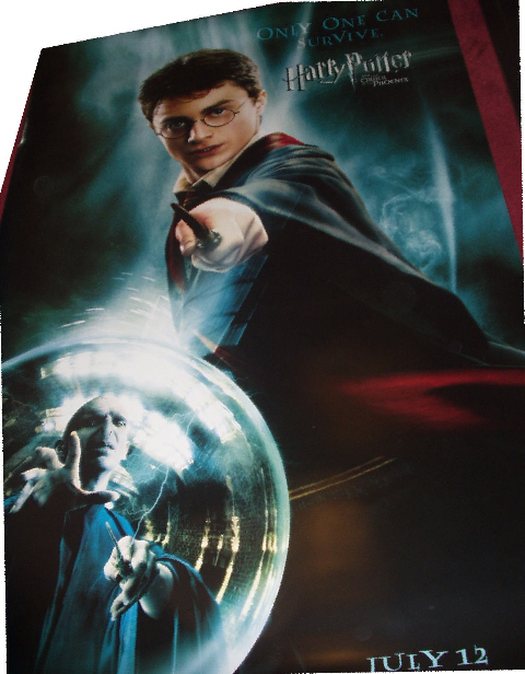 HARRY POTTER AND THE ORDER OF THE PHOENIX: Harry Potter/Voldemort Cinema Banner 
