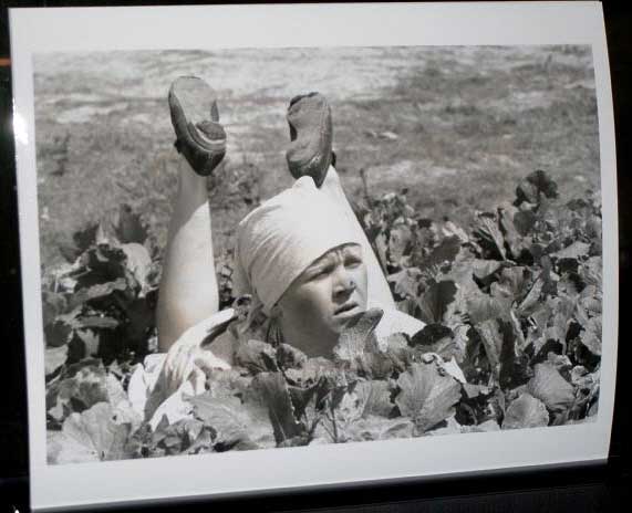 LIFE OF PRIVATE IVAN CHONKIN: Publicity Still Woman In Vegetable Patch 