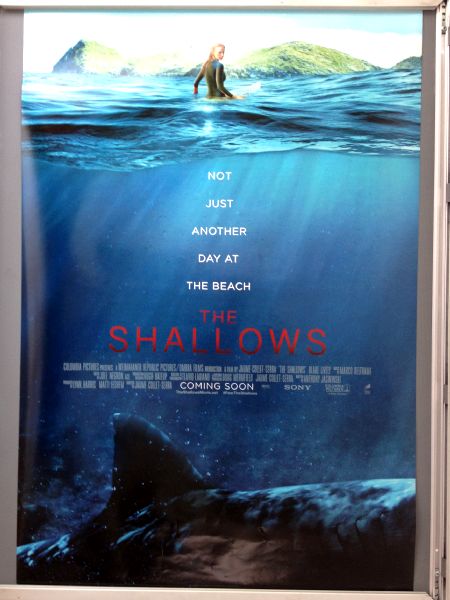 Cinema Poster: SHALLOWS, THE  2016 (One Sheet) Blake Lively scar Jaenada 