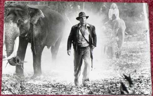 INDIANA JONES AND THE TEMPLE OF DOOM: B/W Still Indy Walking by Elephants INDIANA JONES AND THE TEMPLE OF DOOM: B/W Still Indy Walking by Elephants